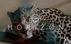 "Horizon", la película Saudi ya se puede ver en la Plataforma de Netflix