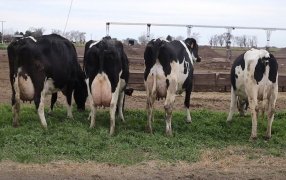 Dice Caprolecoba: Hay que pasar el invierno “que pinta con menos leche”