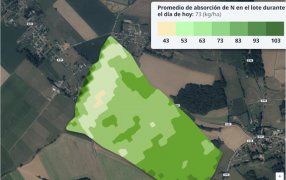 Ahora es posible identificar la variación de absorción de nitrógeno dentro del lote en el día a día