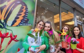 Se presentó en la Casa de Misiones, en C.A.B.A., una nueva edición del ciclo “Descubrí Misiones”, en esta ocasión fue el turno de la “Zona de las Flores”