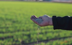 Día Mundial de los Fertilizantes: ¿Podría sobrevivir la humanidad sin nitrógeno de síntesis química?