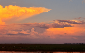 Las lluvias ya se fueron de vacaciones de invierno y el frío da una tregua
