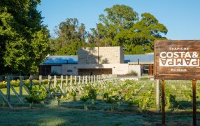 Vinos que enamoran: La selección de Bodega Trapiche para brindar en San Valentín