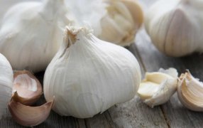 Con el ajo a la cabeza, las frutas y hortalizas de Mendoza crecen en el mercado exterior