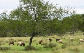 Lunes en Misiones: Se prevé tiempo bueno, un ambiente más bien cálido y luego irá aumentando la nubosidad