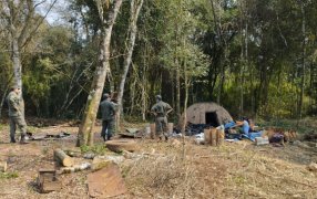 Misiones: frenan apeo ilegal de especies nativas en el Municipio de Caraguatay
