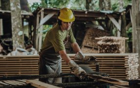 Misiones: Continúa vigente la línea de créditos con tasa bonificada por la provincia destinada al fortalecimiento del sector yerbatero y forestal