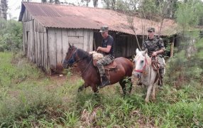 Cuidamos los cultivos, bienes y familias de los colonos de Misiones: Operativos Rurales en toda la provincia