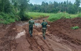 Misiones: Frenaron actividades de cambio ilegal de uso de suelo y daño ambiental