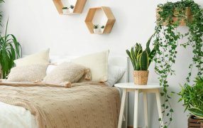 ¿Cómo relajar los ambientes en el Día Mundial de la Relajación?