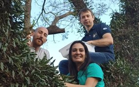 Misiones: En el marco del Programa Plantemos Futuro, más de trescientas orquídeas nativas fueron plantadas en Oberá