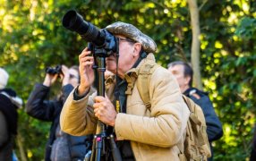 Parque Provincial Salto Encantado: El avistaje de aves se consolida como una de las actividades más atractivas en la oferta ecoturística de Misiones