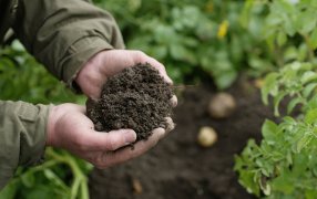 El mercado de carbono tiene un gran escollo: La mitad de los productores ni siquiera sabe qué es