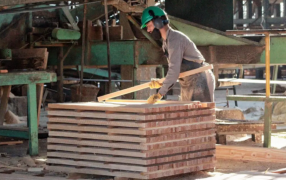 La provincia de Misiones, la que más crece en el NEA: Su Producto Bruto Geográfico aumentó 92,6% en los últimos 5 años