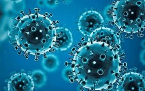 COVID-19: Un informe de EE.UU., señala cuál habría sido el origen de la pandemia