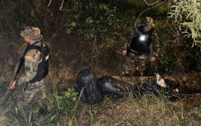 Prefectura Naval Argentina incautó más de 41 kilos de cogollos de marihuana en Misiones