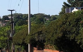 Avanza construcción de nueva línea que mejora el servicio en nueve barrios del Municipio de Apóstoles