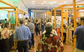 Posadas: Exitosa ronda de negocios en la Primera Expo Té Argentina