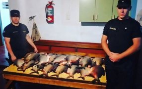 Misiones: Robó 35 pescados de un campo y fue detenido cuando intentaba huir, fue en San José