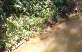 Un joven de 22 años murió ahogado en un arroyo de la localidad de Jardín América, donde momentos antes se habría arrojado para refrescarse