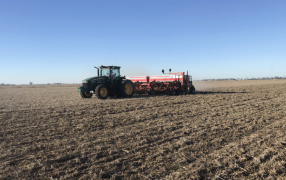 Con el trigo también: Los productores sostienen la intención de usar tratamientos biológicos en semillas