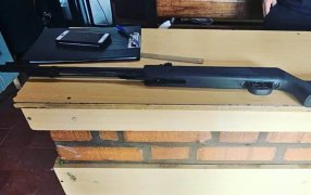 Arrestaron a un individuo de 28 años por matar a un ejemplar de mono Carayá y se secuestró un rifle de aire comprimido que habría utilizado para el hecho