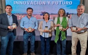 Luego de 15 años de investigación: Desarrollaron una avena apta para celíacos