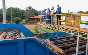 Misiones y Paraguay avanzan en acuerdos para potenciar el sector industrial y forestal