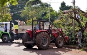 Apóstoles: Últimos días para realizar podas autorizadas en el Sector III