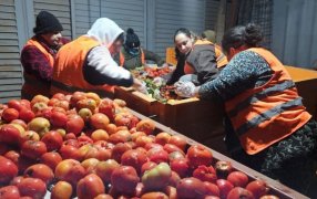 Compromiso solidario: La Red Alimendar Posadas cierra el 2024 con más de 500 kilos de alimentos rescatados