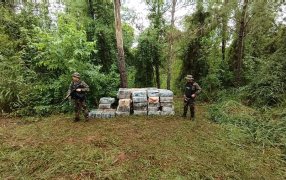 Golpe al narcotráfico: Prefectura Naval Argentina secuestró casi una tonelada y media de marihuana en Misiones