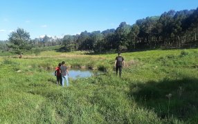 Misiones: Un niño de 5 años perdió la vida al ahogarse en San Pedro