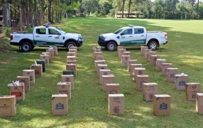 Contrabando de cigarrillos: Más de 24 mil paquetes se encontraban ocultos en la maleza, se trataba de mercadería de origen extranjero