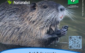 Explorá la biodiversidad de Argentina junto a Vida Silvestre en el Safari de Invierno