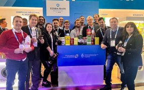 La yerba mate argentina consolida su presencia en el mercado chileno