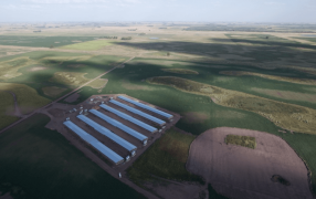 Valor agregado: Los cerdos impulsan una inversión de 17,5 millones de dólares en Bolívar