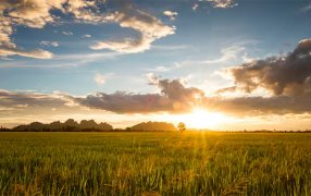 Áreas agrícolas: El clima que se viene post Navidad
