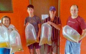 Misiones: Entregaron alevinos de pacú y sábalos a productores del Mercado Concentrador Zonal en la ciudad de Oberá