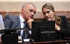 Ficha Limpia: La trastienda de una noche que terminó con un giro sorpresivo desde Misiones e hizo caer la Ley por un voto, los Senadores Carlos Arce y Sonia Rojas Decut nunca pusieron en duda su apoyo al Proyecto