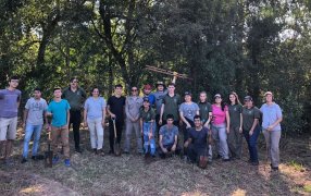 Árboles para yerbales productivos y sustentables en San Vicente