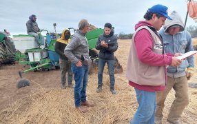 Se relevaron 130 trabajadores rurales en Catamarca, el 50% estaban en la informalidad