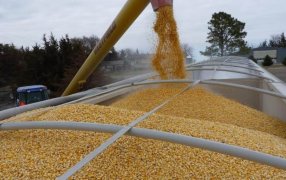 El Gobierno Nacional formalizó el fin de los cupos a las exportaciones de trigo y maíz