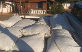 Intervención de yerba mate sin estampilla