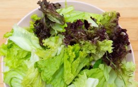 Cómo guardar la lechuga para que esté siempre fresca y dure más, el vegetal de hoja más consumido en Argentina