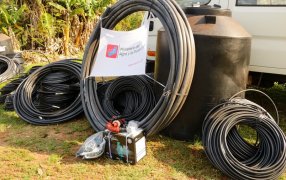 Consolidan cuencas de frutas para la diversificación productiva en Misiones