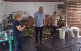 Misiones: Productores del sector tealero de la provincia participaron del primer taller del Programa Potenciar Alimentos, con el objetivo de mejorar la competitividad de sus productos