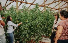 Con foco en el manejo sustentable, especialistas brindaron una capacitación a productores misioneros