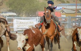 El RENATRE participó de la 47° Exposición y Feria de Ganado Mayor de la Sociedad Rural Lago Argentino en Santa Cruz