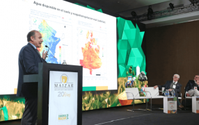 Pablo Mercuri, experto en clima del INTA: “Es probable que ocurra un evento La Niña, pero sería de intensidad leve”