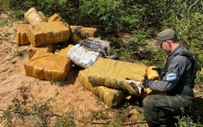 Misiones: Gendarmería Nacional secuestró casi una tonelada de marihuana, el estupefaciente se encontraba acopiado en cercanías al límite internacional fronterizo
